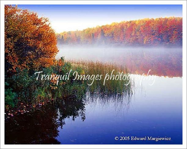 450247---Thorton Lake early morning mist.  View 1 - Copy